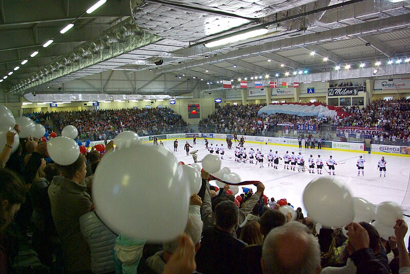 File:PHL final 2014 Sanok - Tychy audience.jpg