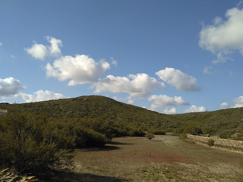 File:Paisaje en Mesquida.jpg