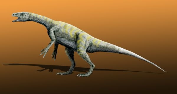 Restoration of Panphagia, one of the most basal sauropodomorphs known.