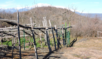 Come arrivare a Boschi e Paludi di Bellavista con i mezzi pubblici - Informazioni sul luogo