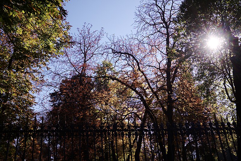 File:Parque del Retiro, Madrid - 002.jpg