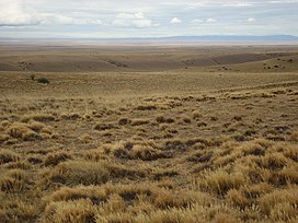 Patagonian Steppe (3260842962) .jpg
