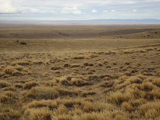 Patagonian Steppe (3260842962).jpg