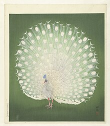 Japanese woodblock print of a white peacock, by Ohara Koson (Xiao Yuan Gu Cun ), 1925-1936 Pauw, RP-P-2003-219.jpg