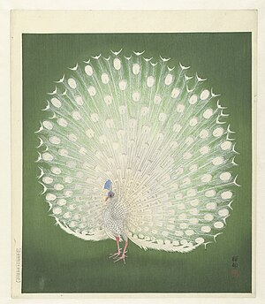 Peafowl