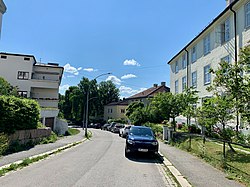 Pavels' gate (19. juni 2020).jpg