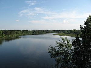 Чулым в Первомайском районе