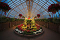 * Nomination The Sunken Garden at the Phipps Conservatory and Botanical Gardens during the winter flower show of 2015. --Dllu 02:55, 24 November 2015 (UTC) * Decline  Comment Needs defringing. --C messier 12:40, 29 November 2015 (UTC)  Not done after 7 days. --Medium69 13:33, 6 December 2015 (UTC)