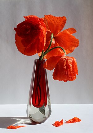 A bouquet of poppies