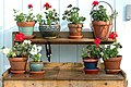 Potting-bench-red-and-white.jpg