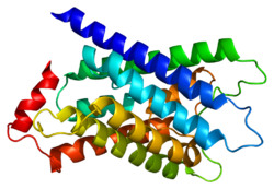 Ақуыз MIP PDB 1sor.png