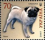 Pug-Dog Ukraine 2007 stamp.jpg
