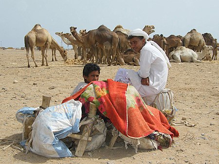 Qesm Shlatin, Red Sea Governorate, Egypt - panoramio - youssef alam (7).jpg