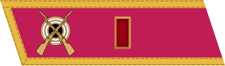 Tập_tin:RKKA_1940_collar_small_OF2_kapitan.svg