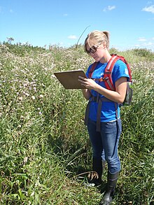 An FWS Wilderness Fellow tracking thistle beetles released in Canada as biological control agents Rachel Carnes (6279932044).jpg