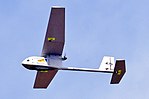 Raven UAV flying.jpg