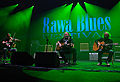 28 Edycja Rawa blues Festival, Katowice Spodek - Shau Pau Acoustic Blues