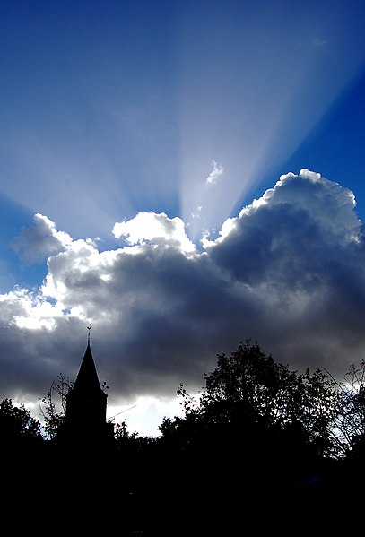 File:Ray of light (5110905003).jpg