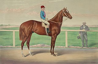 Harry Bassett 19th-century American Thoroughbred racehorse