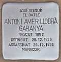 Miniatura per Antoni Amer Llodrà