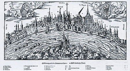 Rheinpanorama Hans Rudolf Manuel Deutsch 1548