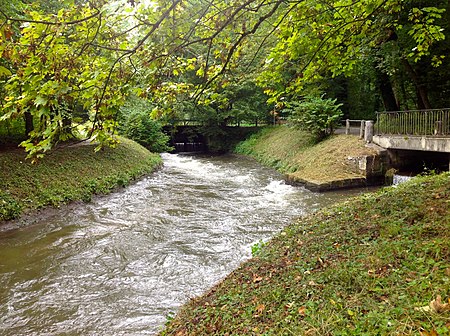 Riehenteich 2013 09 14 03