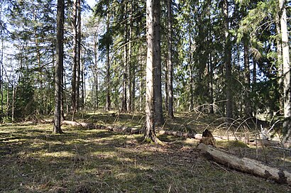 Vägbeskrivningar till Rockelstaåsen med kollektivtrafik