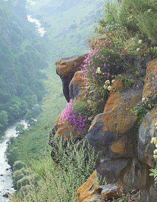 Rocks over the Dzoraget River Canyon.jpg