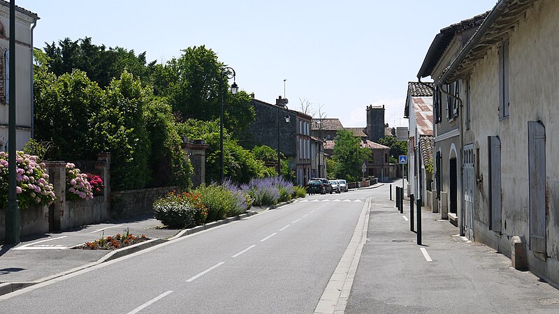 File:Rue d'Albigeois à Buzet sur Tarn.JPG