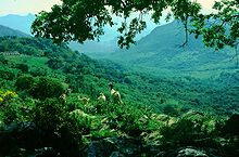 Sierra de Grazalema: Landschaft in der Sierra del Caíllo