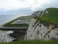 Samphire Cangkul - geograph.org.inggris - 12768.jpg