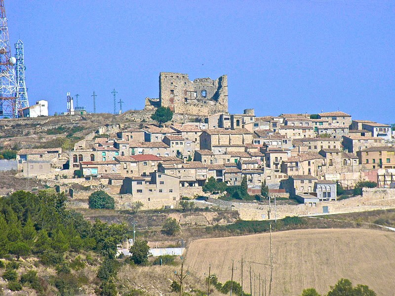 File:Savallà del Comptat dominat pel castell.jpg