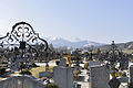 Vom Friedhof Richtung Traunstein