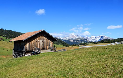 Barn Seiser Alm South Tyrol