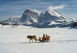 Seiser Alm Langkofel Pferdeschlitten