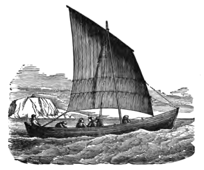 Fig. 10.—Shetland Sixern.