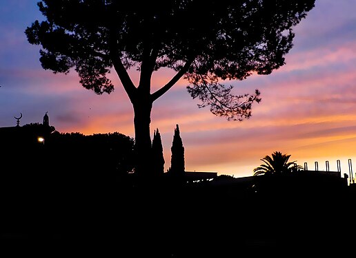 Silhouette della Grande Moschea al tramonto a Roma