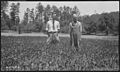 Smith, H.J. (standing to right), in clover field - NARA - 279914.jpg