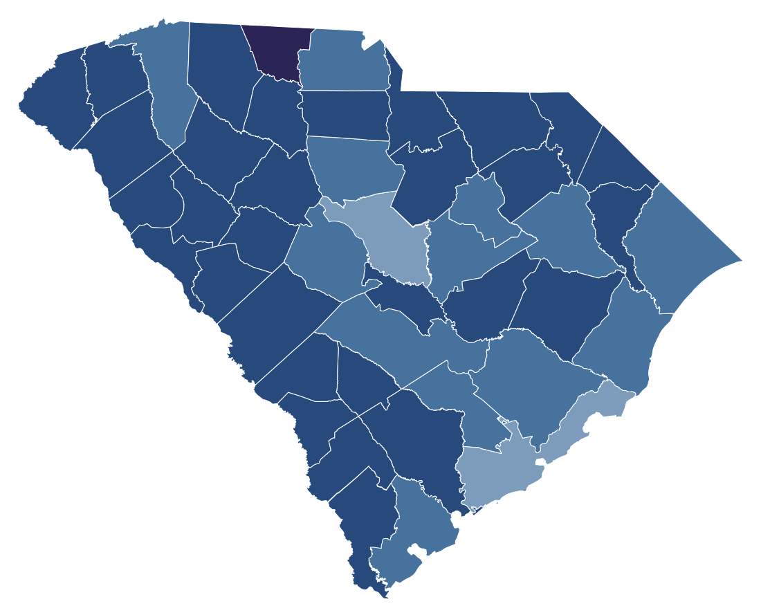 South Carolina Amendment 1