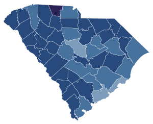 South Carolina Marriage Referendum by county.svg