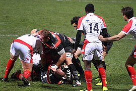 Stade toulousain vs Biarritz