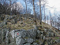 Anstieg zum Steinkopf in der Rhön