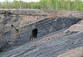Foord Seam (bituminous coal)
