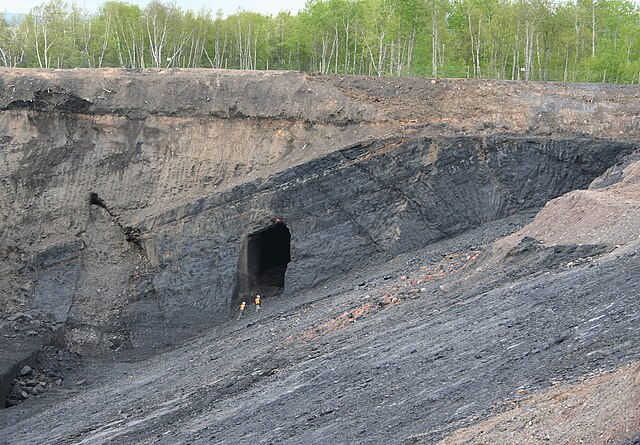 Foord Coal Seam