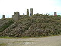 Stones Island, Carsington Reservoir - geograph.org.uk - 17864.jpg