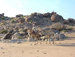 Sudan: Etymologia, Historia, Politiikka