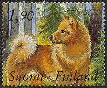 1989 postage stamp depicting the Finnish Spitz Suomenpystykorva-1989.jpg