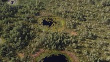 File:Swimmers in Ohepalu bog pool, July 2021.webm