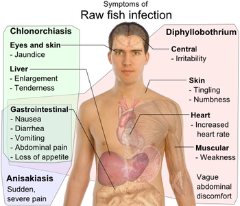 Symptoms of Raw fish infection.png