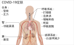 Thumbnail for File:Symptoms of coronavirus disease 2019 in Traditional Chinese.svg